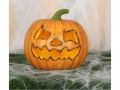 Pumpkin 20 cm