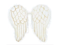Angel Wings - 47 x 40 cm