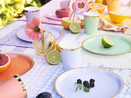 Plates - 21 cm - 6 pcs
