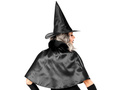 Adult Black Witch costume
