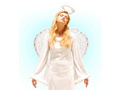 Angel wings white - 67 x 64 cm