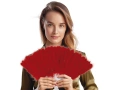 Red feather fan