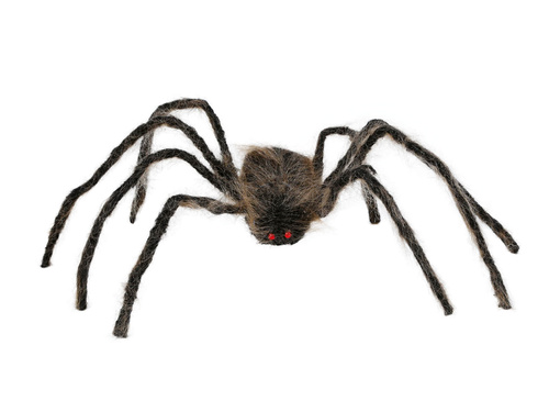 Spider 75 cm