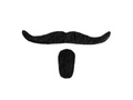 Chevalier moustache & goatee beard