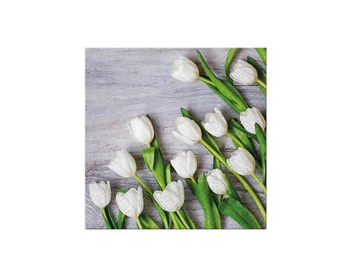 White tulips napkins - 33 cm - 20 pcs.