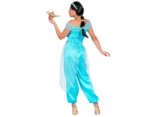 Arabian princess costume