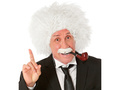 Einstein wig & moustache