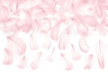 Decorative feathers light pink - 50 pcs.