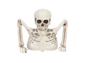 3 skeleton bones with pickets