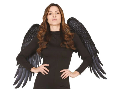 Angel wings black