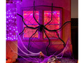 Spiderweb with spider - 1 pc