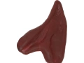 Werewolf Ears