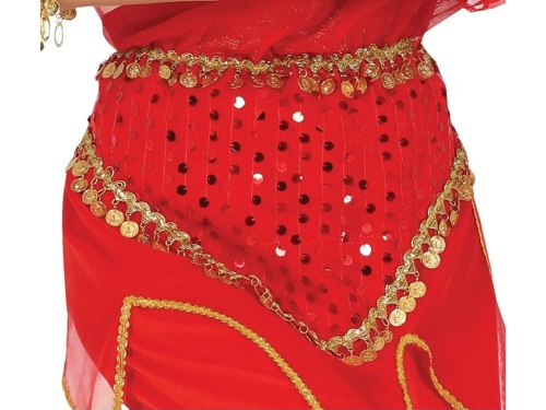 Adult Indian woman Costume