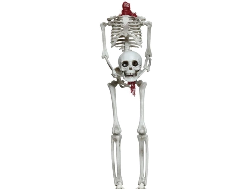 Skeleton 159 cm