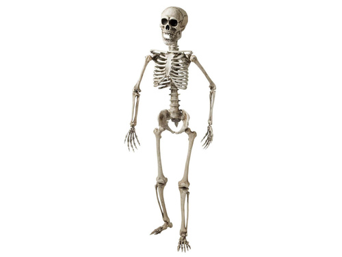 Skeleton - 160 cm - 1 pc.