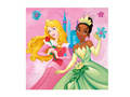 Princess birthday napkins - Princess - 33 cm - 20 pcs.