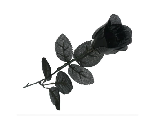 Black Rose 42 cm