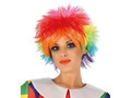 Clown wig
