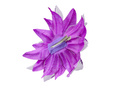 Purple flower hair clip with glitter - 1 pc