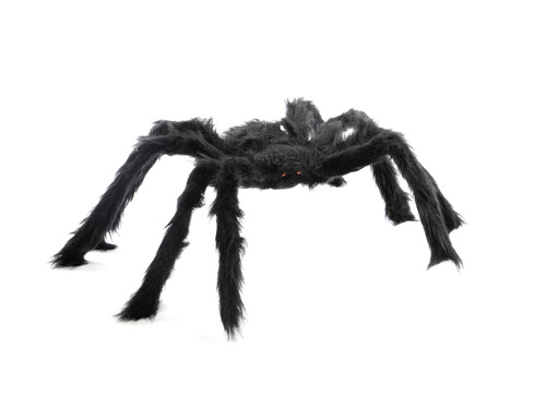 Furry Spider