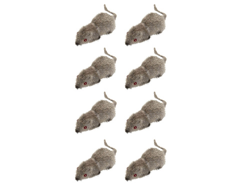 Mice 5 cm