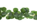 Girlanda Eukaliptus - 180 cm - 1 szt.