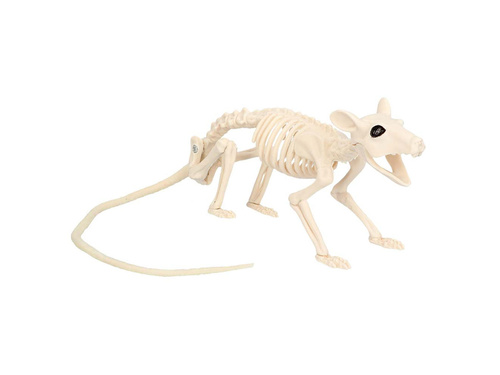 Rat skeleton - 46 cm - 1 pc.