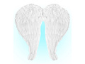Angel wings white - 60 x 46 cm