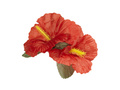 Hibiscus red - 1 pc