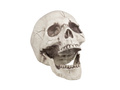 Skull 21 cm - 1 pc