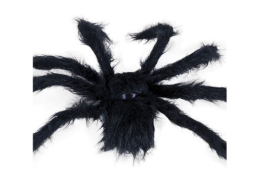 Spider 50 cm
