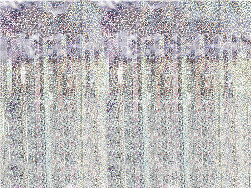 Kurtyna - zasłona na drzwi holograficzna - 100 x 200 cm