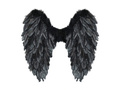 Wings black