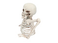 3 skeleton bones with pickets