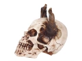 Skull - 1 pc