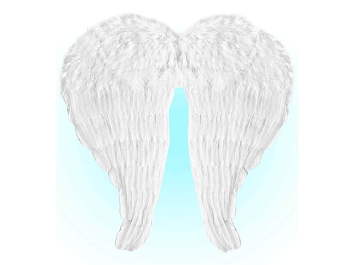 Angel wings white - 67 x 64 cm