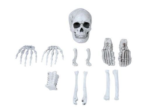 Bag with Bones - 12 pcs