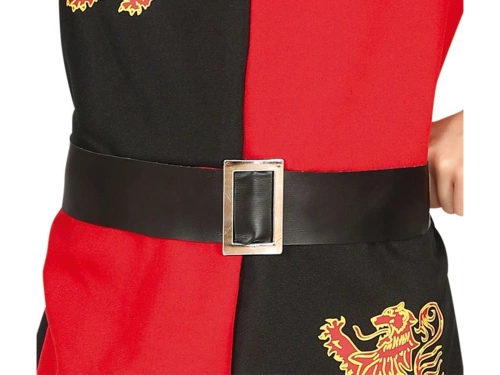 Medieval Knight costume