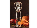 Skeleton 159 cm