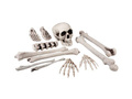 Zestaw kości z czaszką - 12 szt.