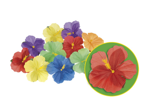 Płatki kwiatów Hibiskus - kolorowe - 24 szt.
