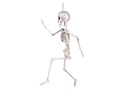Skeleton Pendant - 60 cm