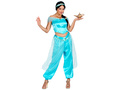 Arabian princess costume
