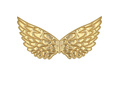 Gold Angel Wings - 23 x 45 cm