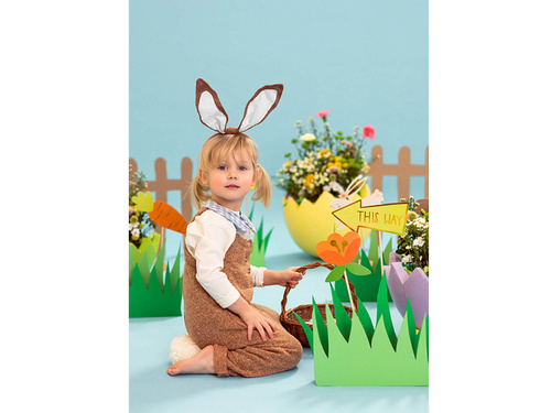Set of decorations for finding eggs - 10 pcs.