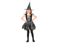 Witch Halloween Costume