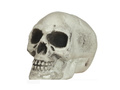 Mini Skulls - 8 cm - 6 pcs