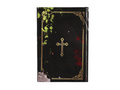 Book Exorcism for dummies 22x15 cm