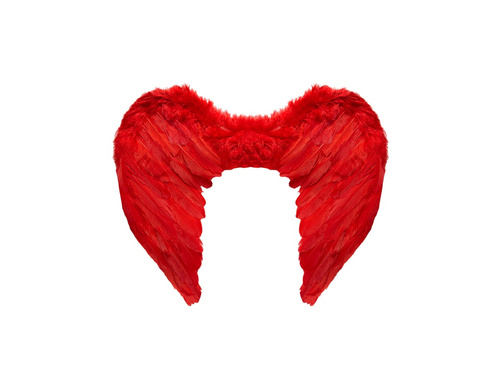 Czerwone skrzydła z piór 50×40 cm