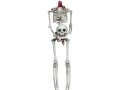 Skeleton 159 cm